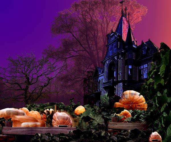 Happy Halloween!