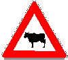 Slow Cows