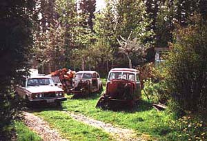 John's yard