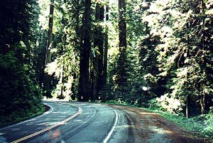 US 199